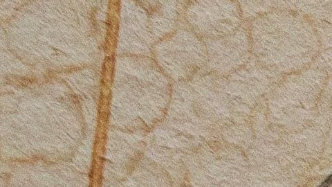 La nota llevaba ahí más de 20 años.