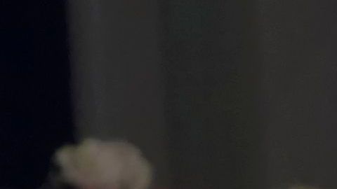 La fecha límite habitual para declarar los taxes es el 15 de abril, pero este año 2020 se ha extendido al 15 de julio.