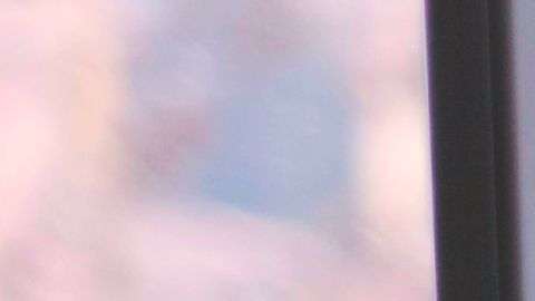 pandemia miedo covid