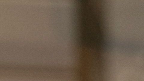 Las solicitudes de desempleo e están empezando a estabilizar, en máximos, en Nueva York y California./Shutterstock