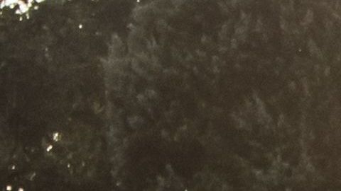 Fue en dos días diferentes y se topó con los espectros.