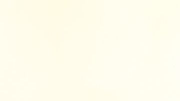 A pocos les parece divertido.