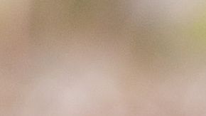 Trabajo infantil en el campo.