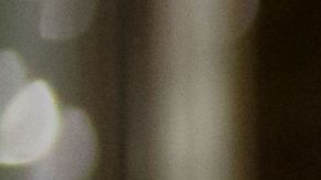 La maleta despedía un olor fétido.