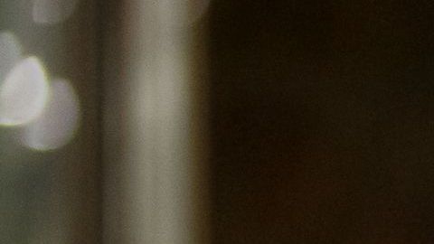 La maleta despedía un olor fétido.