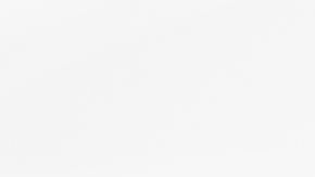 Aparentemente, el "error" del anciano fue cambiar una planta de lugar.