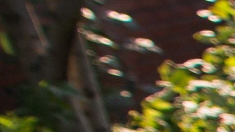 Los techos y balcones no están hechos para soportar tanto peso.