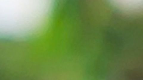 Ya sospechaba que la engañaba, pero no se imaginaba con quién.