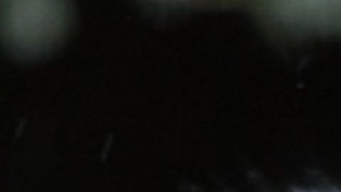 Filman a una leopardo de las nieves amamantando a sus cachorros.