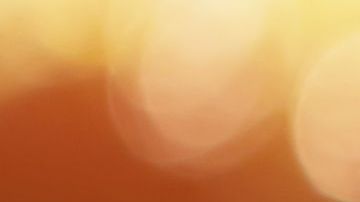 El hombre le ayudó de buena fe al hijo de sus amigos y fue traicionado.