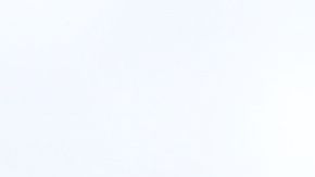 té infusión bebida