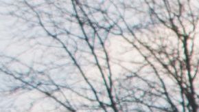 Uno de ellos siempre sintió que no encajaba con su familia.