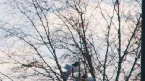 Uno de ellos siempre sintió que no encajaba con su familia.