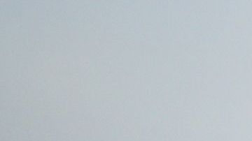 La imagen ha causado terror en Internet.