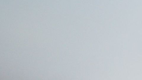 La imagen ha causado terror en Internet.