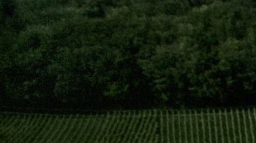 Muchos lo han tomado como una "señal" de que el covid-19 viene de otra galaxia.