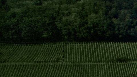 Muchos lo han tomado como una "señal" de que el covid-19 viene de otra galaxia.