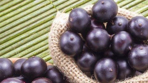 acai berry