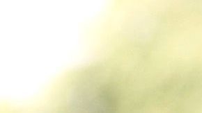 El policía terminó quitándose la vida.