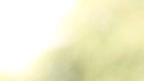 El policía terminó quitándose la vida.