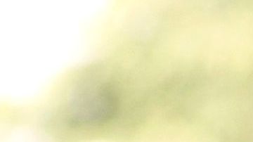 El policía terminó quitándose la vida.