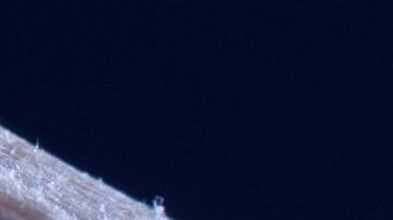 El hombre recién había salido de prisión.