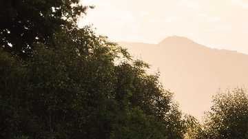 Kia Sorento 2020.
Crédito: Cortesía Kia.