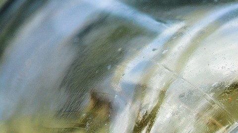 El laurel posee interesantes propiedades esotéricas.