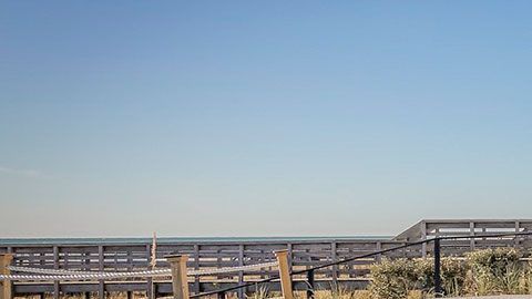 Al ingresar a la app, podrás ver las piscinas que están disponibles en tu área.