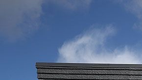 El burrito de frijoles es parte del nuevo menú vegetariano de la cadena.