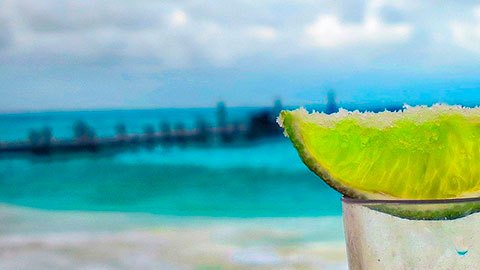 Ahora ya podrás diferenciar estas dos bebidas como todo un conocedor.