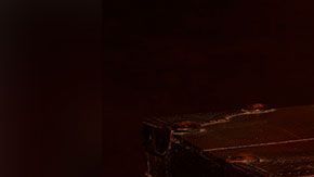 Se calcula que unas 350,000 personas de todo el mundo fueron a buscar el tesoro.