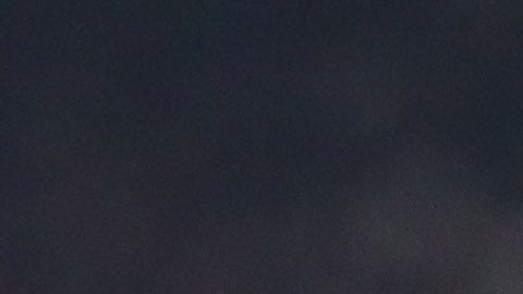 theo hernandez zoe cristofoli