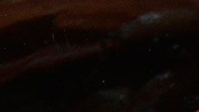 El empleo sólo es para un día, pero probarías muchos platillos con tocino y te pagarían bien.