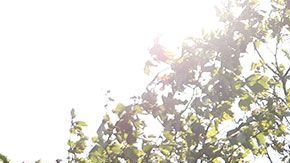 Esta universidad se fundó hace casi 60 años.