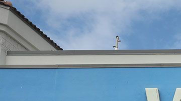 La tienda dice que todo fue un malentendido y que no le pidieron que se retiraran.