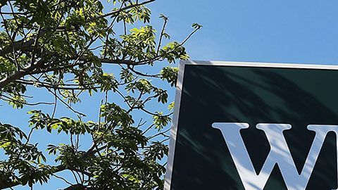 El consumo regular de pequeñas cantidades de metales pesados aumenta el riesgo de contraer enfermedades cardiovasculares