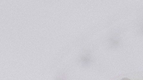 Conoce a los signos más felices del Zodiaco.