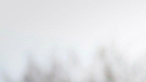 Hay signos que les agrada lo sencillo y práctico.