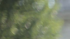 Tu fortuna puede verse favorecida con un ritual de la suerte.