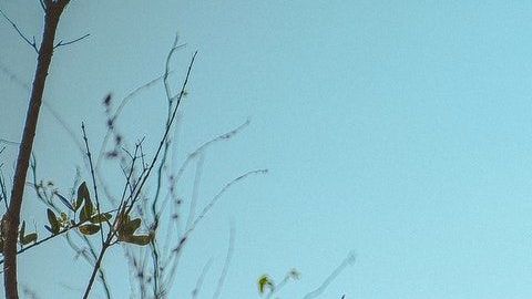 Limpia tus energías usando el elemento de tu signo zodiacal.