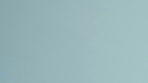 Hay signos que no les cuesta ser honestos con los demás.