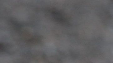 La mujer llamó a los patitos Beep, Peep y Meep, y asegura que vivirán una vida feliz.