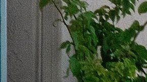 Manifestantes se quejan de los malos olores que presuntamente desprende el contenedor.