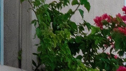 Manifestantes se quejan de los malos olores que presuntamente desprende el contenedor.