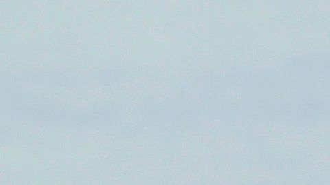 “Nole” dio la noticia a través de un comunicado.