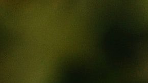 El billete de dólar atrae la buena suerte.