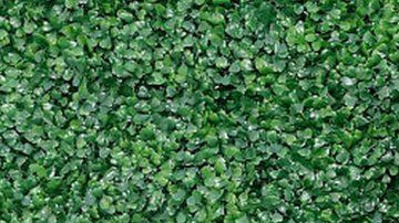 Kim Kardashian es una de las celebridades más buscadas en la red.