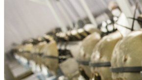 111045850_gettyimages-588158644