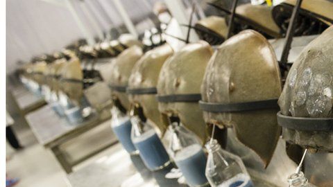 111045850_gettyimages-588158644